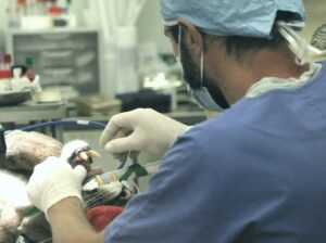 medical billers and coders