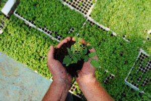 best sustainability certifications